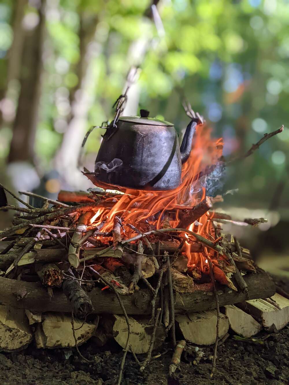 Forest School Club